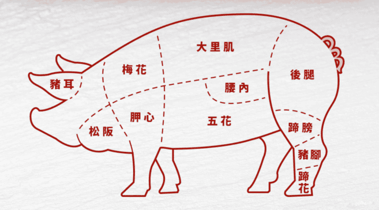 豬部位圖，可以清楚看出每種豬肉的部位。（圖片來源：陞煇食品）